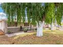 Single-story home with a well-manicured lawn, a decorative fence, and a mature shade tree at 6235 N 25Th Ave, Phoenix, AZ 85015