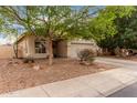 Charming single-story home with a two-car garage and low maintenance front yard at 8325 N 61St Ln, Glendale, AZ 85302