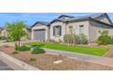 Beautiful single-story home featuring lush green lawn, desert landscaping, and a two car garage at 9734 E Spiral Ave, Mesa, AZ 85212