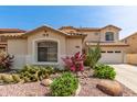 Tan home featuring mature desert landscaping, including cacti, colorful flowers, and rock ground cover at 17005 S Coleman St, Phoenix, AZ 85045