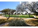 Scenic view of the lush green golf course on a sunny day at 8406 E Calle Buena Vis, Scottsdale, AZ 85255