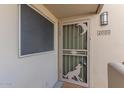 Close-up of the front door with a wolf and moon themed security screen at 11333 N 92Nd St # 2080, Scottsdale, AZ 85260