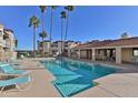 Enjoy the community pool with lounge chairs under the sunny sky and towering palm trees at 12123 W Bell Rd # 218, Surprise, AZ 85378