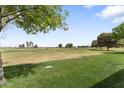 Scenic golf course view with manicured green lawns and trees under a blue sky, ideal for recreation at 24511 S Golfview Dr, Sun Lakes, AZ 85248