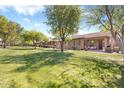 Lush green backyard featuring mature trees and well-maintained landscaping at 9608 E Nacoma Dr, Sun Lakes, AZ 85248