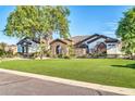 Expansive front yard showcasing a well-maintained lawn and mature trees at 10059 W Villa Lindo Dr, Peoria, AZ 85383