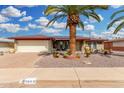 Charming brick home featuring desert landscaping, a paved driveway, and a prominent palm tree in the front yard at 4838 E Calypso Ave, Mesa, AZ 85206