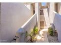 Sunlit courtyard featuring textured walls, a skylight, and desert landscaping creates an inviting and private outdoor space at 7401 W Arrowhead Clubhouse Dr # 2003, Glendale, AZ 85308