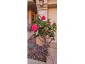 Charming home exterior with a rose bush near the address, adding curb appeal and a welcoming touch to the property at 2535 N Pinnule Cir, Mesa, AZ 85215