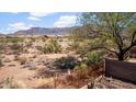 Desert backyard with scenic mountain views beyond fence at 10356 E Meandering Trail Ln, Gold Canyon, AZ 85118