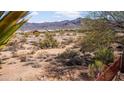 Scenic view of mountains from the backyard of this desert property at 10356 E Meandering Trail Ln, Gold Canyon, AZ 85118