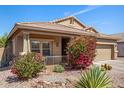 Beautiful home exterior featuring lush, flowering bushes, desert plants, and manicured landscaping at 10932 E Bella Via --, Mesa, AZ 85212