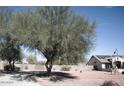 Expansive desert yard featuring native vegetation and a single-story home with solar panels at 3721 N Brindley Ave, Litchfield Park, AZ 85340