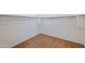 Walk-in closet with carpet and built-in shelving at 7109 E Gamebird Way, San Tan Valley, AZ 85143