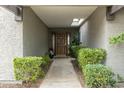 The front entrance with mature landscaping and a skylight providing natural light at 8187 E Del Caverna Dr, Scottsdale, AZ 85258