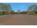 A private community gate provides security and privacy with mature shade trees lining the brick paved entry at 17756 E Colt Dr, Queen Creek, AZ 85142