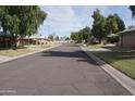 A quiet residential street lined with mature trees and well-kept lawns at 4773 E Hopi St, Phoenix, AZ 85044