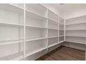 Walk-in pantry with rows of shelves offering lots of storage space at 23805 N 163Rd Dr, Surprise, AZ 85387