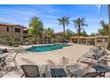 Sparkling community pool with lounge chairs and palm trees, perfect for relaxation at 1351 N Pleasant Dr # 1087, Chandler, AZ 85225