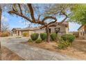 Charming single-Gathering home featuring desert landscaping and a mature shade tree at 21816 E Puesta Del Sol --, Queen Creek, AZ 85142