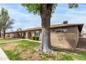Charming exterior view of a single-story home with a large tree in the yard providing shade and curb appeal at 6514 S Lakeshore Dr # C, Tempe, AZ 85283