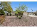 Inviting home with desert landscaping and a two-car garage, featuring mature trees and a well-kept lawn at 12809 N 50Th St, Scottsdale, AZ 85254