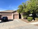 This home features a three-car garage, desert landscaping, and a mature shade tree at 13542 W Port Au Prince Ln, Surprise, AZ 85379