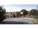 Community basketball court with landscaping and mature shade trees at 15036 W Smoketree Dr, Surprise, AZ 85387