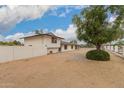 A view of the side of the property showing a large tree and the white brick fence at 5038 W Acoma Dr, Glendale, AZ 85306