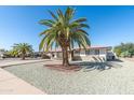 Inviting home with desert landscaping, mature palm trees and a covered parking area at 136 N 63Rd St, Mesa, AZ 85205