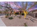 Charming home with desert landscaping, lit trees, and a welcoming entrance, set on a quiet street at 16013 N 111Th Pl, Scottsdale, AZ 85255