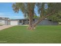 Contemporary gray home featuring a large tree, modern garage door, and well-maintained green lawn at 6746 E Monterosa St, Scottsdale, AZ 85251