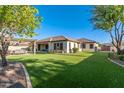 Extensive backyard offering a large grassy area, covered patio, outdoor dining area, and immaculate landscaping at 19888 E Russet Rd, Queen Creek, AZ 85142