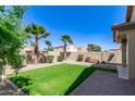 Expansive backyard features lush green grass, palm trees, a brick patio, and desert landscaping perfect for relaxation at 37180 W Mondragone Ln, Maricopa, AZ 85138