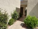 Pathway leads to an inviting entry with tiled flooring, shrubbery, and a stylish front door at 9734 W Kerry Ln, Peoria, AZ 85382