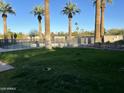 Serene backyard view with lush lawn, palm trees, and a pool, perfect for outdoor enjoyment at 10249 N 58Th Pl, Paradise Valley, AZ 85253