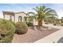 Tan single-story home showing manicured yard with mature palm tree and other trees/shrubs at 21026 N Circle Cliffs Dr, Surprise, AZ 85387
