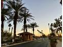 Gated community entrance with mature palm trees and manicured landscaping at dusk at 3183 N 159Th N Ave, Goodyear, AZ 85395