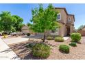 Attractive two-story home features a well-manicured lawn and a charming tree in the front yard at 1021 W Vineyard Plains Dr, San Tan Valley, AZ 85143