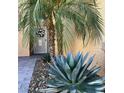 Beautiful front entry featuring desert landscaping and a decorative wreath at 12749 W Sheridan St, Avondale, AZ 85392