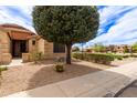 Landscaped front yard featuring desert-style gravel, mature trees, and view of neighborhood park at 3023 E Silversmith Trl, San Tan Valley, AZ 85143