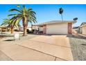 Single-story home with a two-car garage, mature palm trees, and a desert-landscaped front yard at 1684 Leisure World --, Mesa, AZ 85206