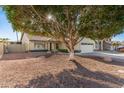 Inviting single-story house featuring a tile roof, two-car garage, and a lush, mature shade tree at 1750 N Abner --, Mesa, AZ 85205