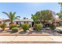 Charming home with rock landscaping, vibrant flower bushes, well maintained green shrubs, and mature shade trees in the front yard at 3727 W Gardenia Ave, Phoenix, AZ 85051