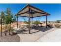 Community picnic area with shaded pavilion, tables, benches and mature trees at 1275 E Ridgerock Loop, Casa Grande, AZ 85122