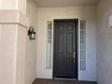 A welcoming front entrance features a dark door with sidelights and a classic lantern fixture at 1444 W Spruce Dr, Chandler, AZ 85286
