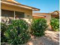 Charming exterior view showcasing well-maintained landscaping, a welcoming entrance, and a neatly kept facade at 13275 W Bolero Dr, Sun City West, AZ 85375