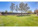 A well-manicured green space with shady trees, landscaping, and building in background at 900 S 94Th St # 1204, Chandler, AZ 85224
