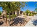 Beautifully landscaped front yard with mature trees enhancing the curb appeal of this home at 13660 N 144Th Ln, Surprise, AZ 85379