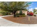 The property's exterior is enhanced by desert landscaping, stone accents, and a healthy mesquite tree at 3718 W Bingham Dr, New River, AZ 85087